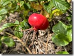 IMG_5397