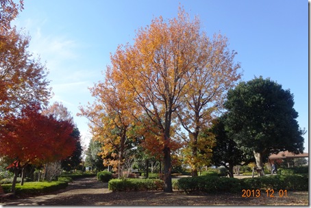 DSC05006