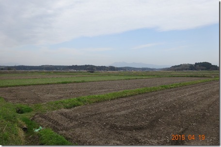 DSC05963