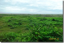 DSC00299