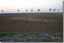 DSC07028