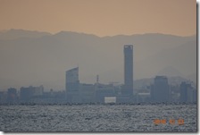DSC07981