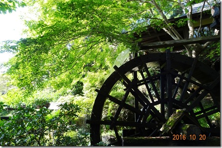 DSC07059