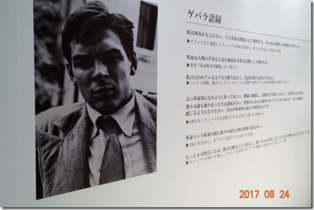 DSC02479 (2)