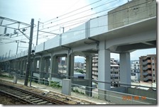 DSC07107 (2)