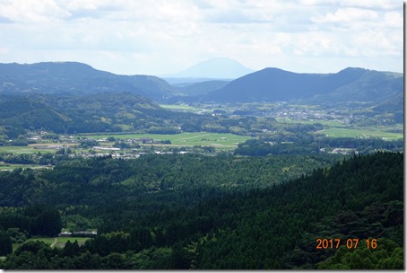 DSC00798 (2)