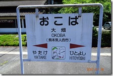 DSC00827 (2)