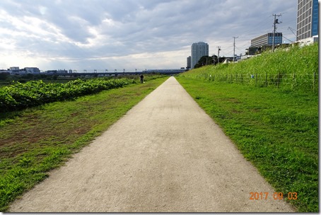 DSC02540 (2)