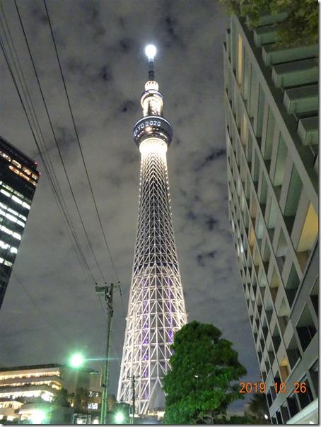 DSC07795 (2)