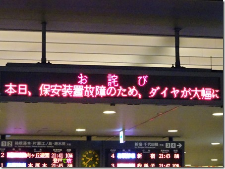DSC03699 (2)