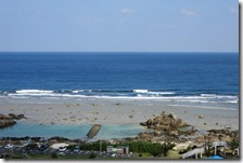 DSC02387 (2)