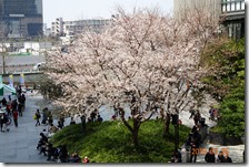 DSC04864 (2)