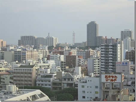DSC07920 (2)
