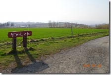 DSC06021 (2)