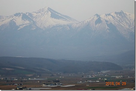 DSC06055 (2)