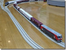 DSC04619 (2)